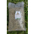 SAMFARM SAMOSIANKO 1 kg (SŁOMKOWY KOLOR) siano